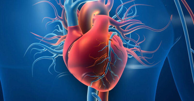 Pure Sevoflurane Cardiovascular Effects | Shaanxi BLOOM Tech Co., Ltd Pure Sevoflurane Cardiovascular Effects | Shaanxi BLOOM Tech Co., Ltd