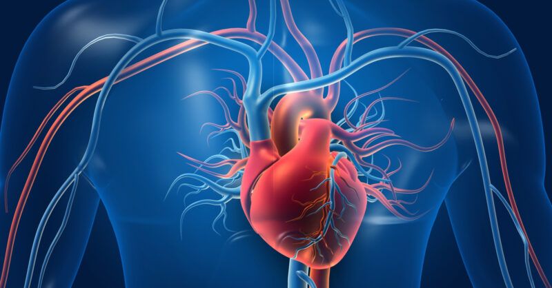 Bioglutide NA-931 Cardiovascular | Shaanxi BLOOM Tech Co., Ltd Bioglutide NA-931 Cardiovascular | Shaanxi BLOOM Tech Co., Ltd