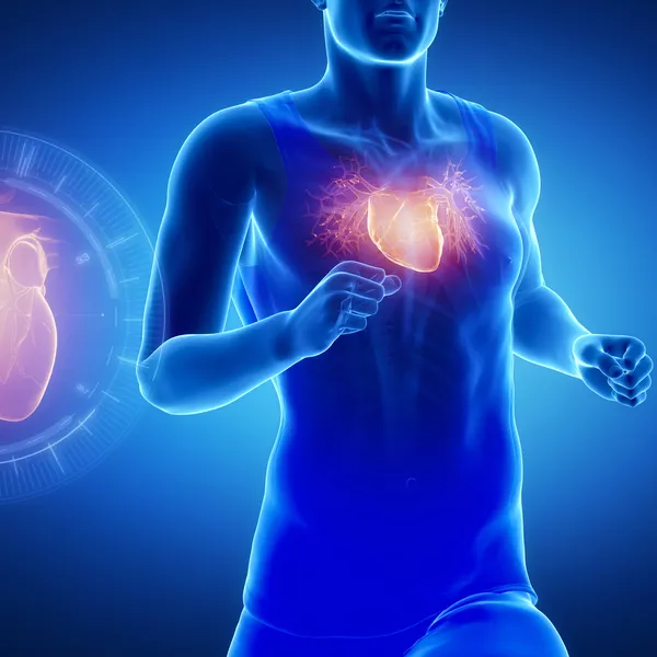 Heart Research Institute medical research